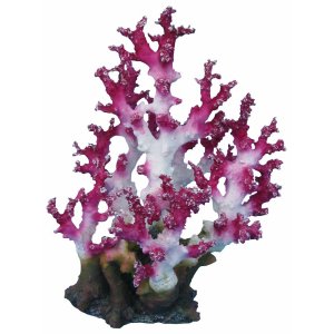 HAQUOSS DENDRONEPHTIA - 25x18x32h cm